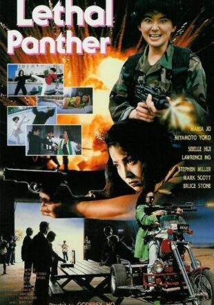 Lethal Panther 1990 Multi Audio Hindi-English-Chinese 480p 720p 1080p