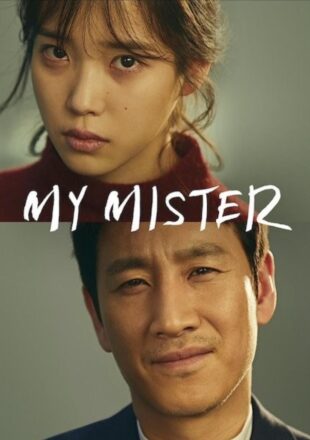 My Mister Season 1 Korean With Hindi Subtitle All Episode