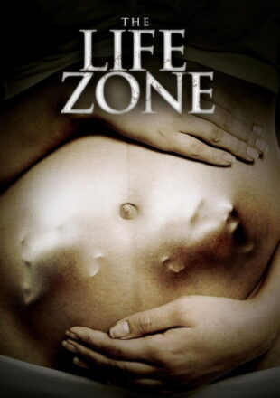 The Life Zone 2011 Dual Audio Hindi-English 480p 720p 1080p