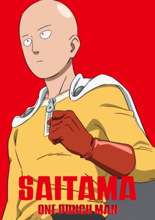 One-Punch Man Season 1 Multi Audio Hindi-English-Japanese 480p 720p 1080p