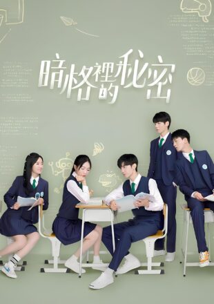 Our Secret Season 1 Dual Audio Hindi-Chinese 720p 1080p All Episode